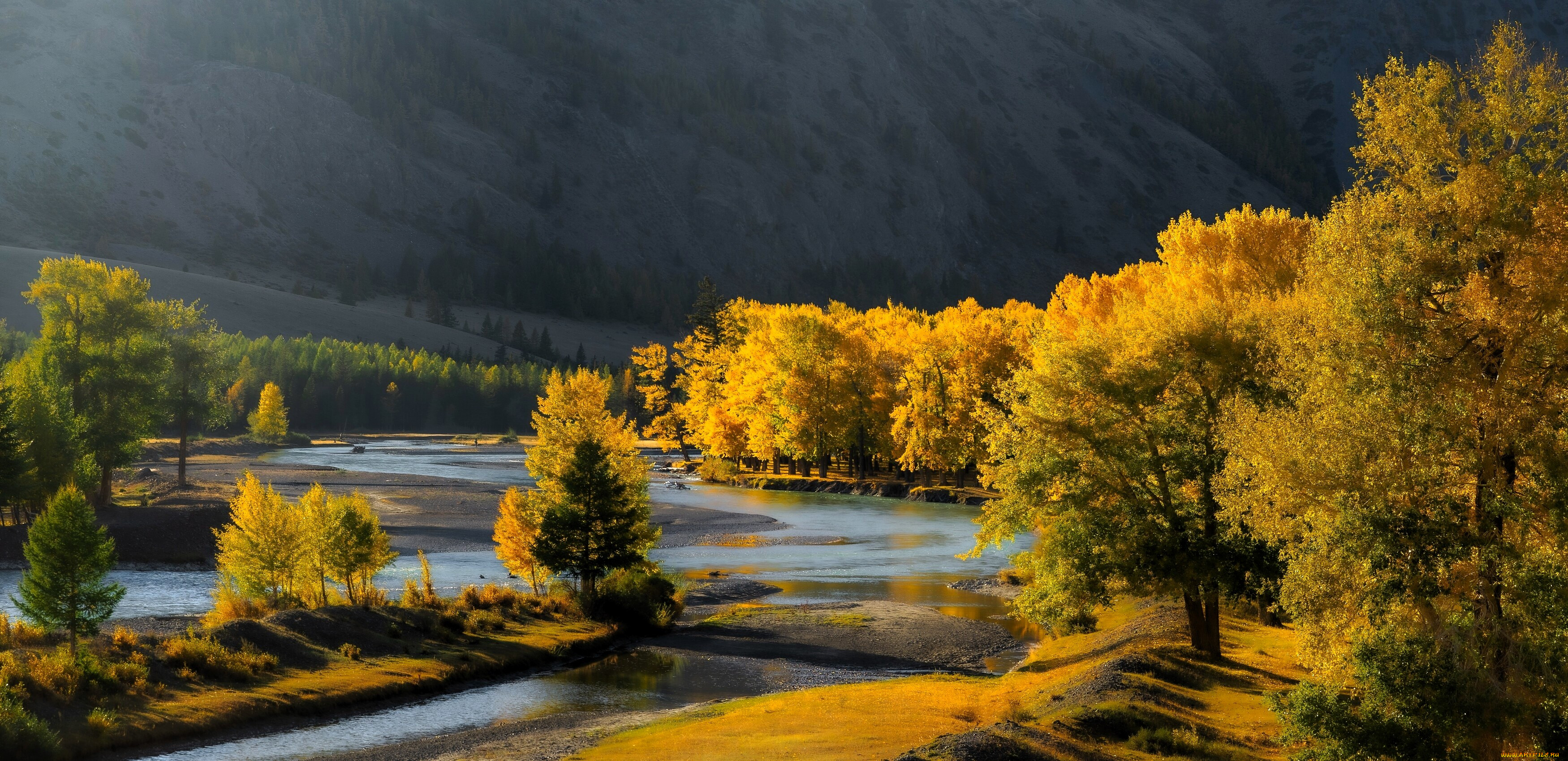 �������, ����, �����, ����, ���, �������, �����, ����